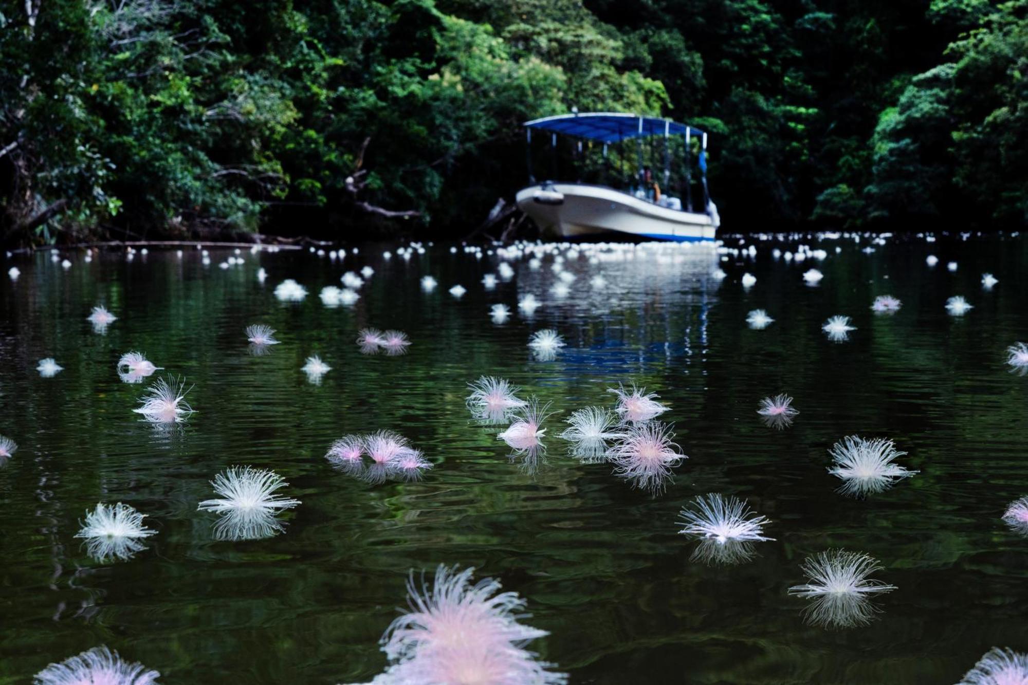Iriomote Hotel By Hoshino Resorts Urauchi Bagian luar foto