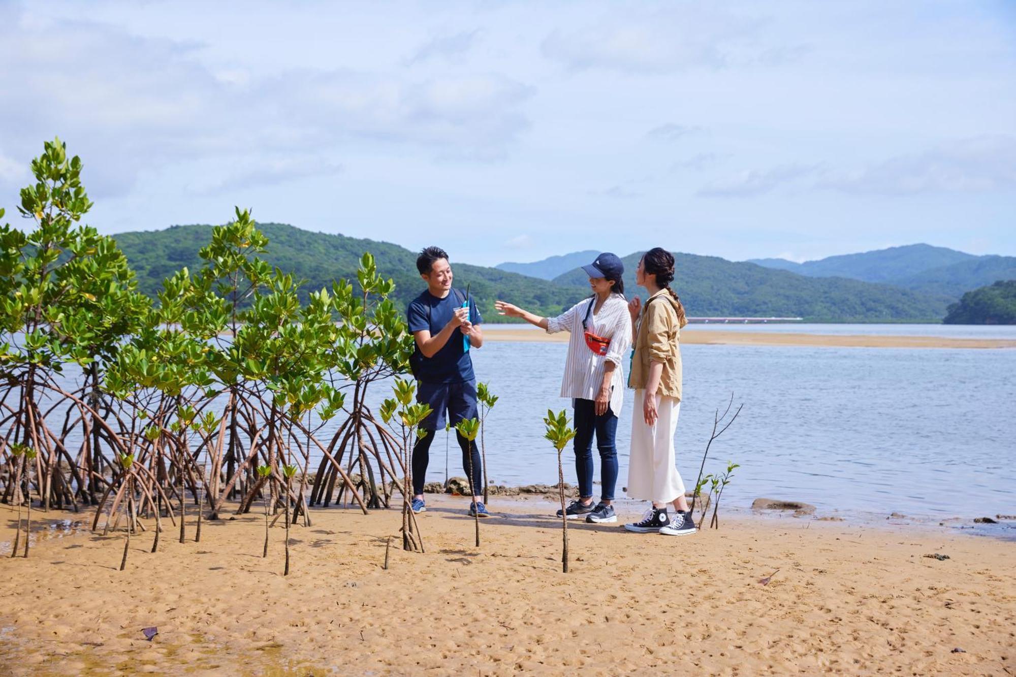 Iriomote Hotel By Hoshino Resorts Urauchi Bagian luar foto