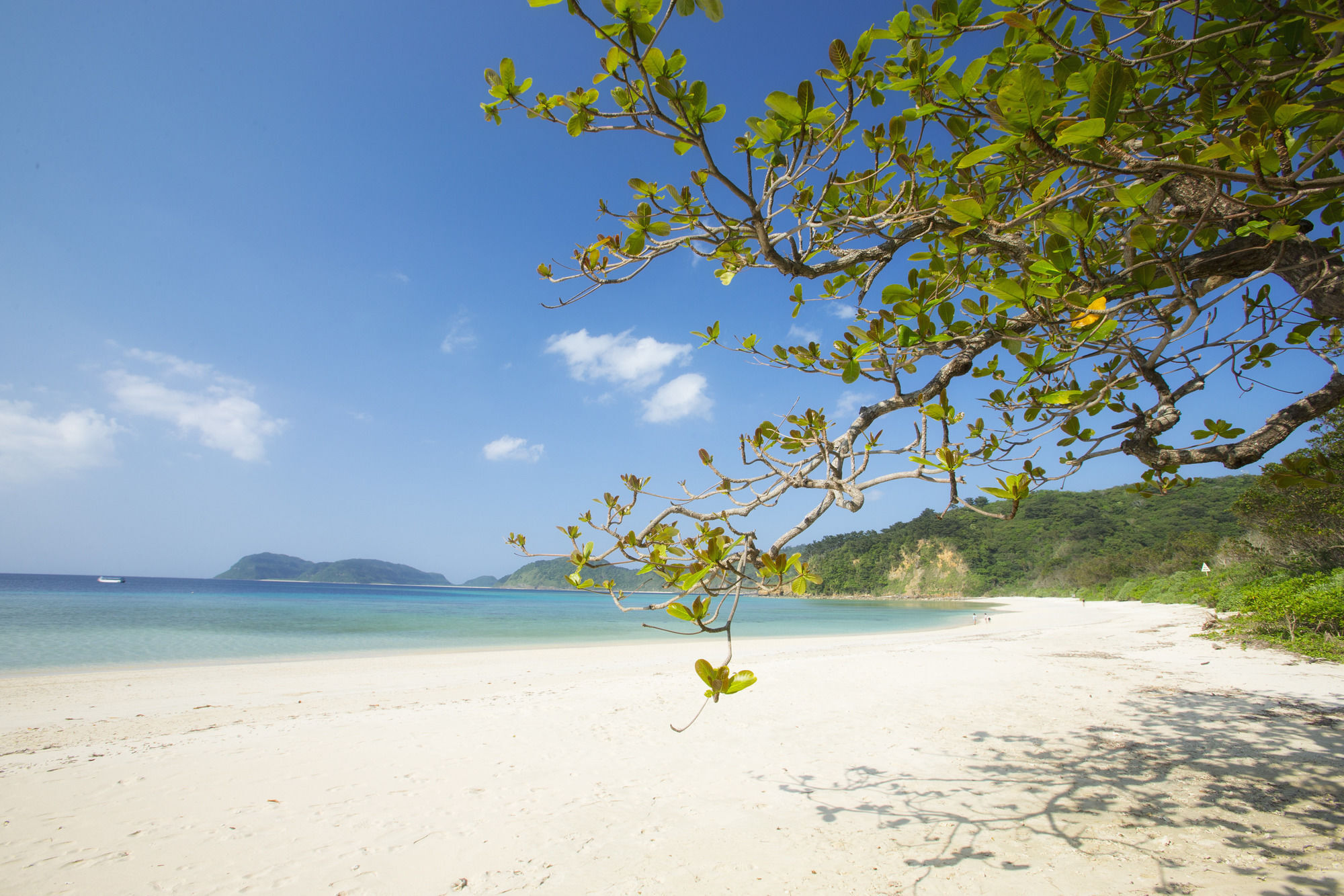 Iriomote Hotel By Hoshino Resorts Urauchi Bagian luar foto